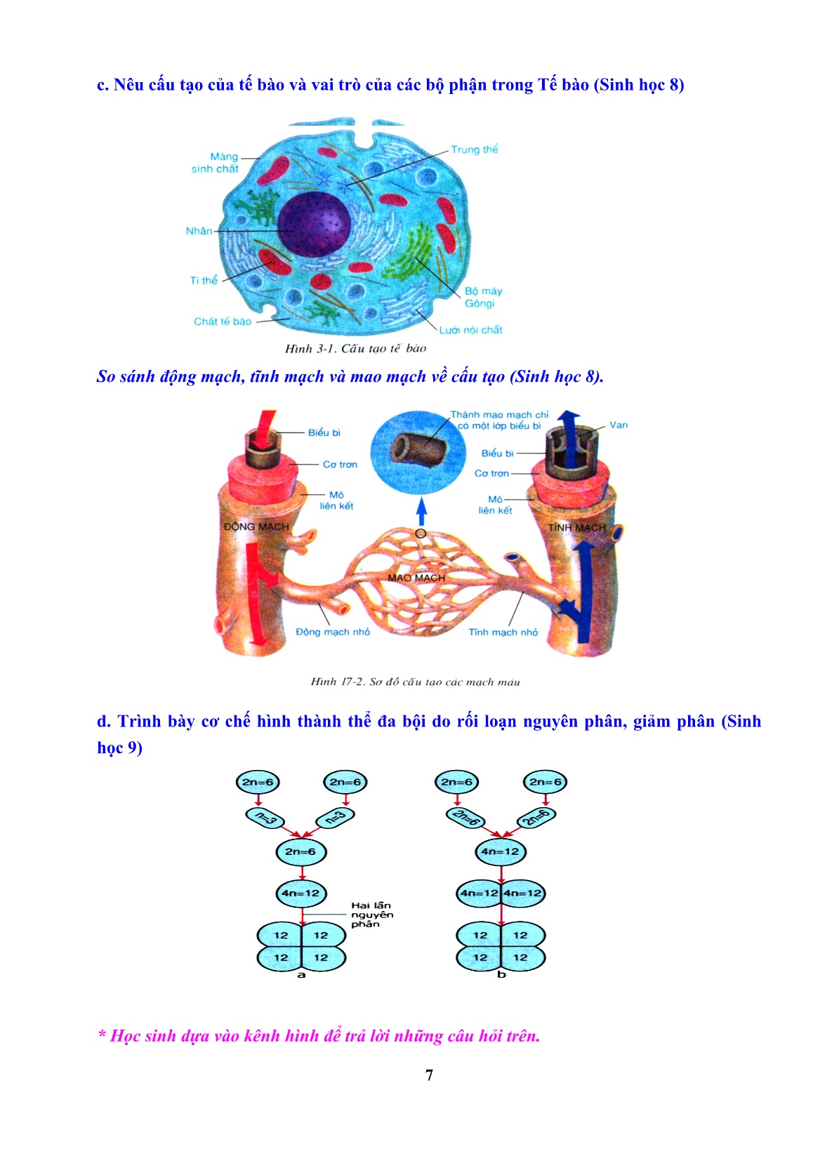 Sáng kiến kinh nghiệm Sử dụng kênh hình trong giảng dạy Sinh ở trường THCS trang 7