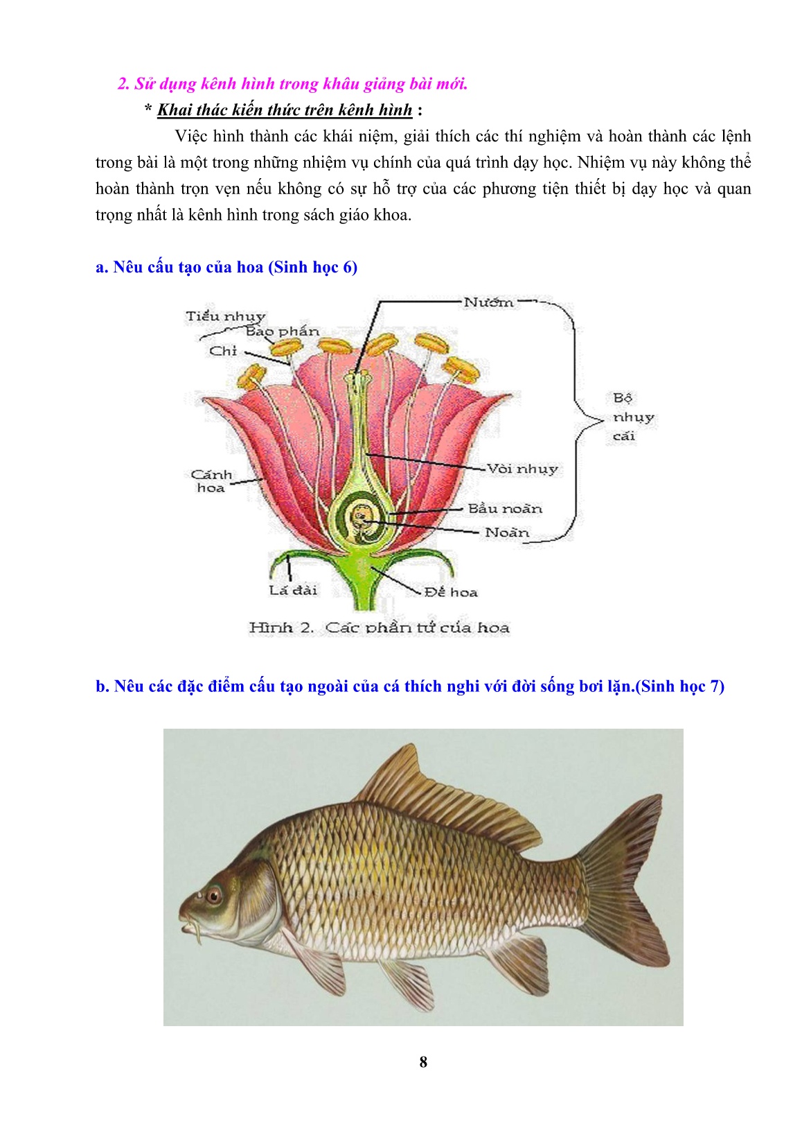 Sáng kiến kinh nghiệm Sử dụng kênh hình trong giảng dạy Sinh ở trường THCS trang 8